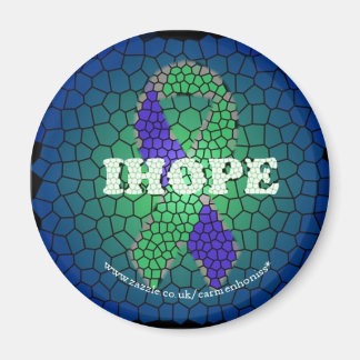 IH Nedfläckad Windows-kopia Magnet