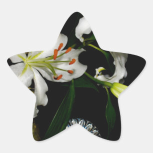 Iirsh Design -Mässing och blomsamling Stjärnformat Klistermärke