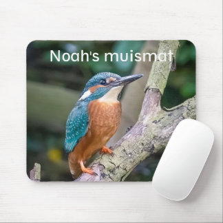IJsvogel Musmatta