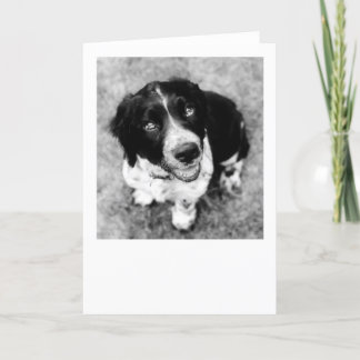 Ike Smiles Card Kort