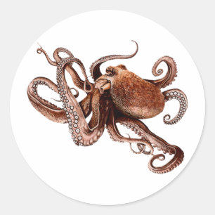 Iker the Octopus Runt Klistermärke