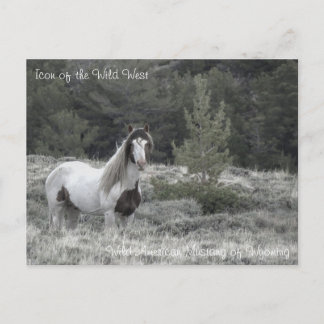 Ikon på Vilda western - vykort