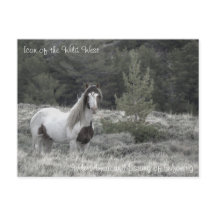 Ikon på Vilda western - vykort