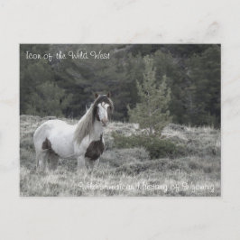 Ikon på Vilda western - vykort