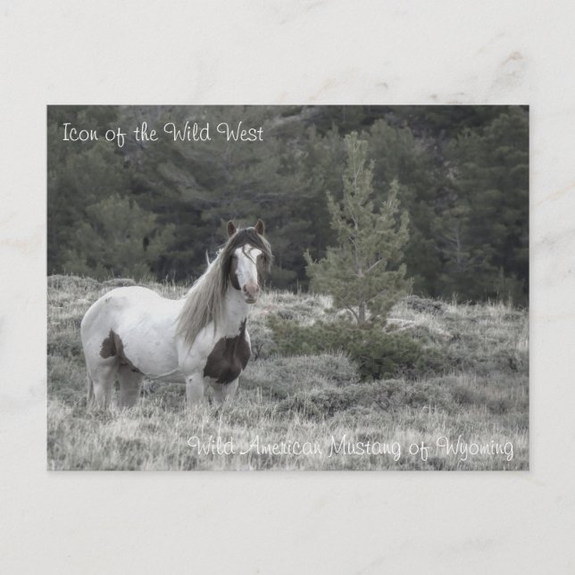 Ikon på Vilda western - vykort (Framsida)