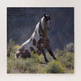 Ikonen för Tvätta bas Pussel