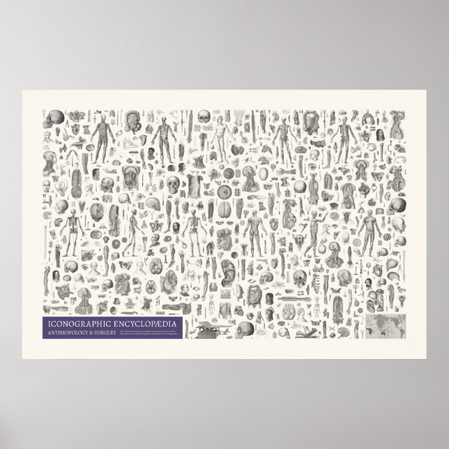 Ikonografi - Antropologi & Kirurgi Poster (Framsidan)