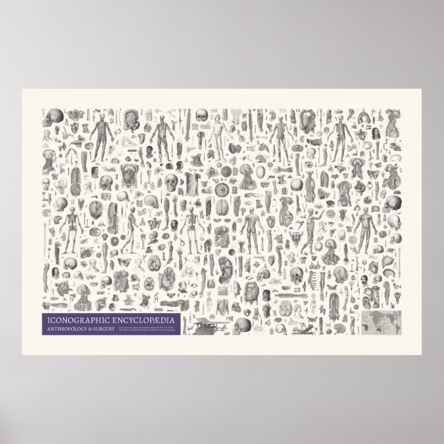 Ikonografi - Antropologi och kirurgi Poster (Framsidan)