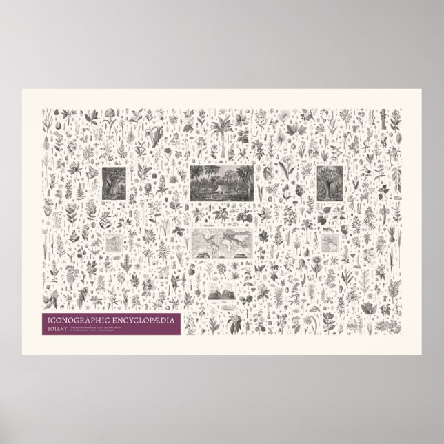 Ikonografi - Botany Poster (Framsidan)