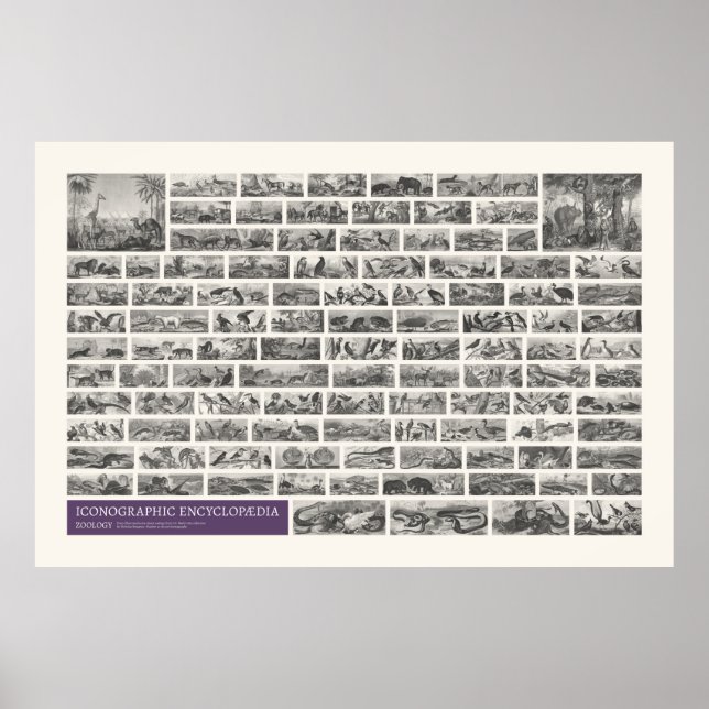 Ikonografi - Zoologiscenarier Poster (Framsidan)