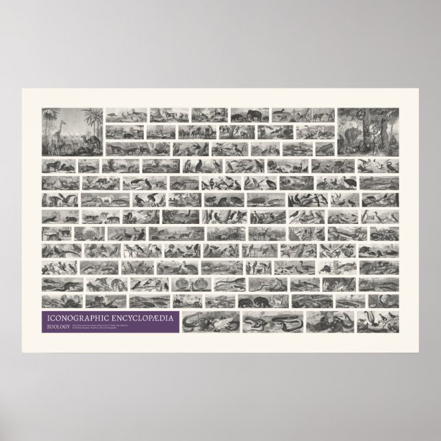 Ikonografi - Zoologiska scener Poster (Framsidan)