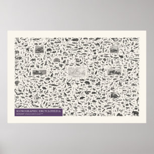 Ikonografi - Zoology Figurer Poster