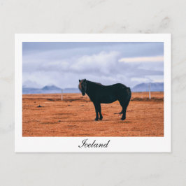 Ikonsvart isländsk vykort för häst