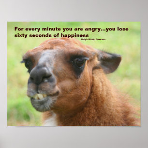 IlHappity Quote Llama Inspirational Poster