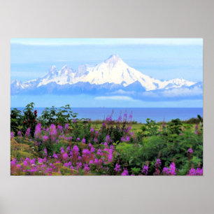 Iliamna Alaska  Poster