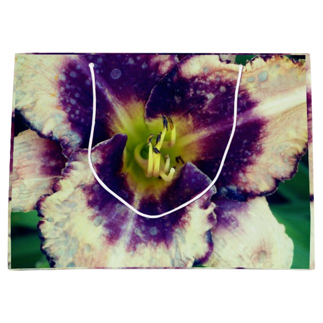 Ilium Fotografi  (Framsidan)