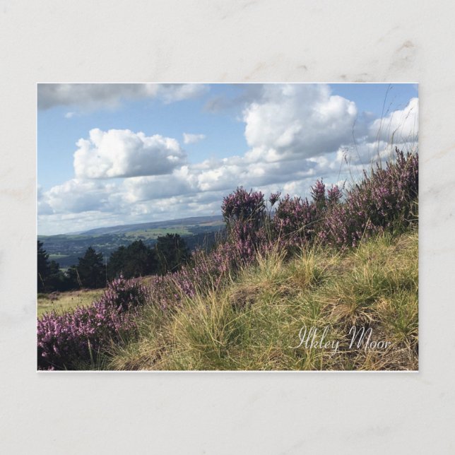 Ilkley Moor Postcard Vykort (Framsida)