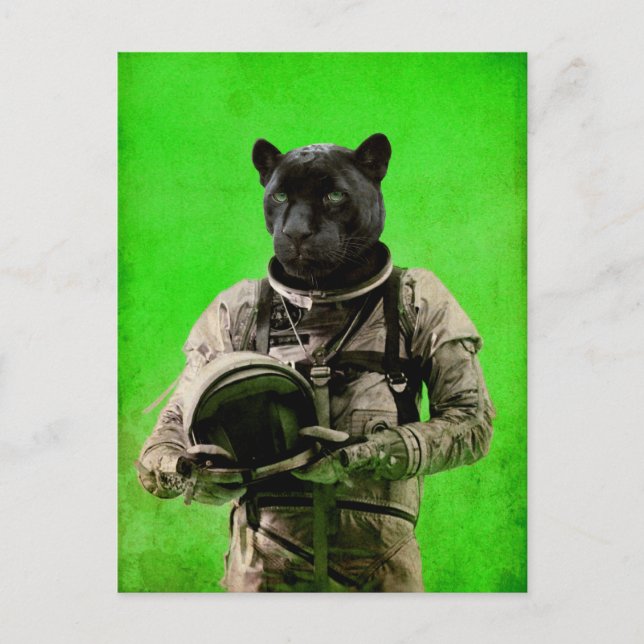 I'll taste the sky vykort (Framsida)