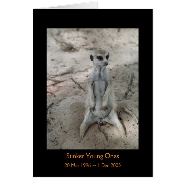 Illaluktande - legendkort hälsningskort (Framsidan)