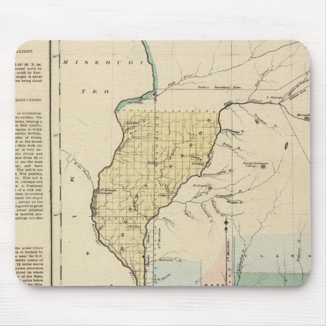 Illinois 1822 musmatta (Framsidan)
