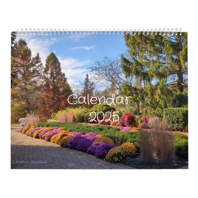 Illinois Beauty 2025 Calendar Kalender (Omslag)