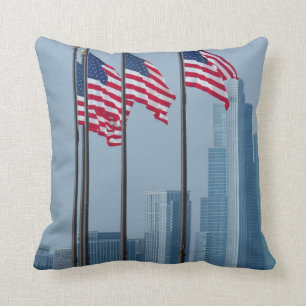 Illinois Chicago. Marinpir, US sjunker flyg Kudde