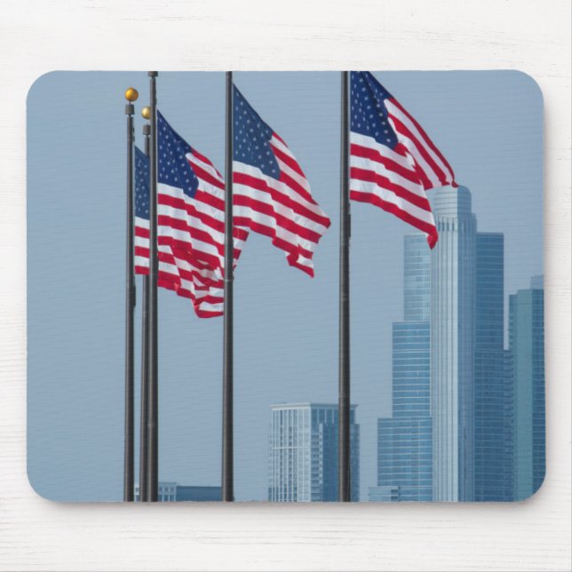 Illinois Chicago. Marinpir, US sjunker flyg Musmatta (Framsidan)