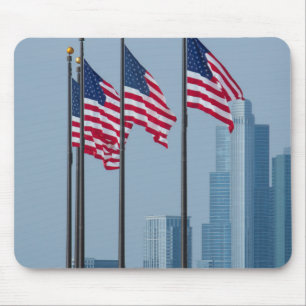 Illinois, Chicago. Navy Pier, amerikanska flaggor Musmatta