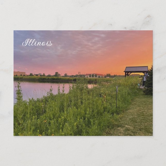 Illinois Fält vykort (Framsida)