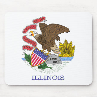 Illinois Flagga Musmatta