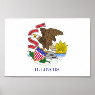 Illinois Flagga Poster