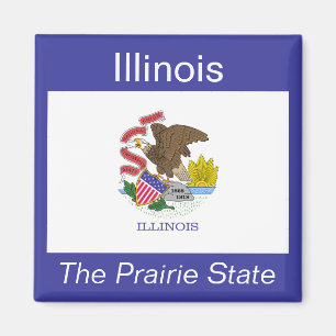 Illinois flaggamagnet magnet