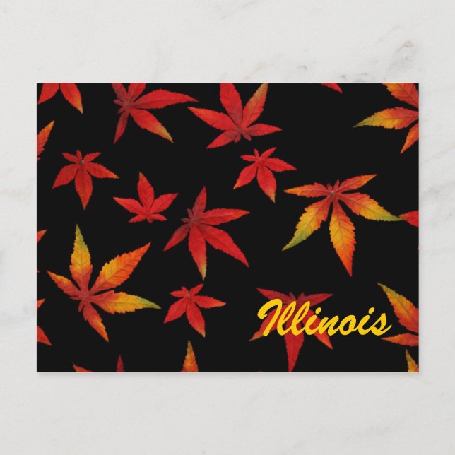 Illinois höstlöv vykort (Framsida)