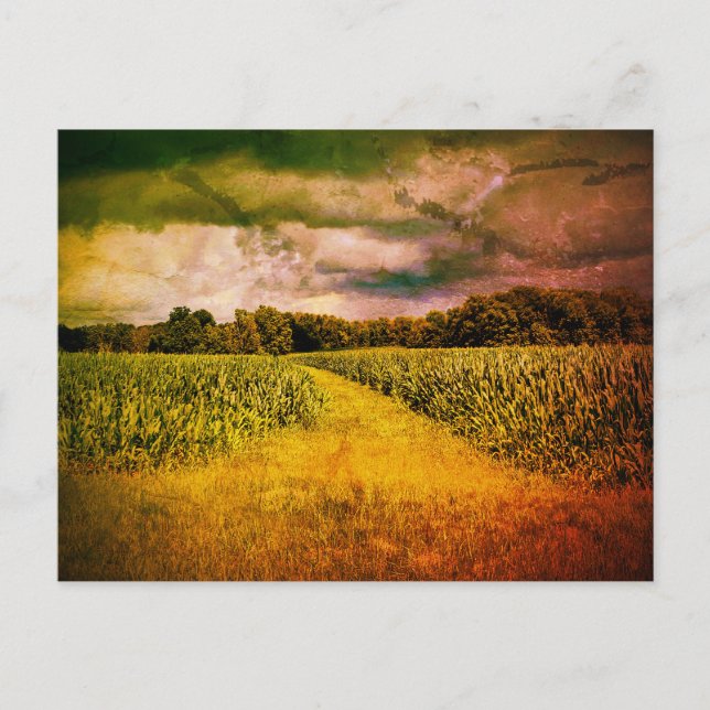 Illinois Land liggande foto Vykort (Framsida)