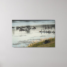 Illinois levande canvastryck