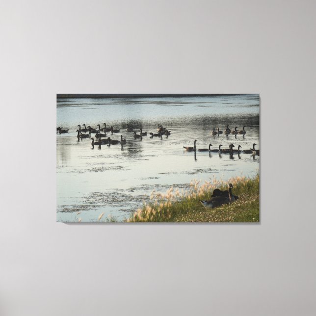 Illinois levande canvastryck (Framsida)