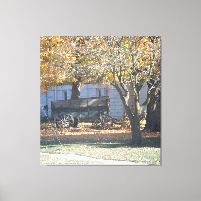 Illinois levande canvastryck (Framsida)