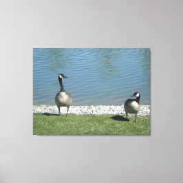 Illinois levande canvastryck