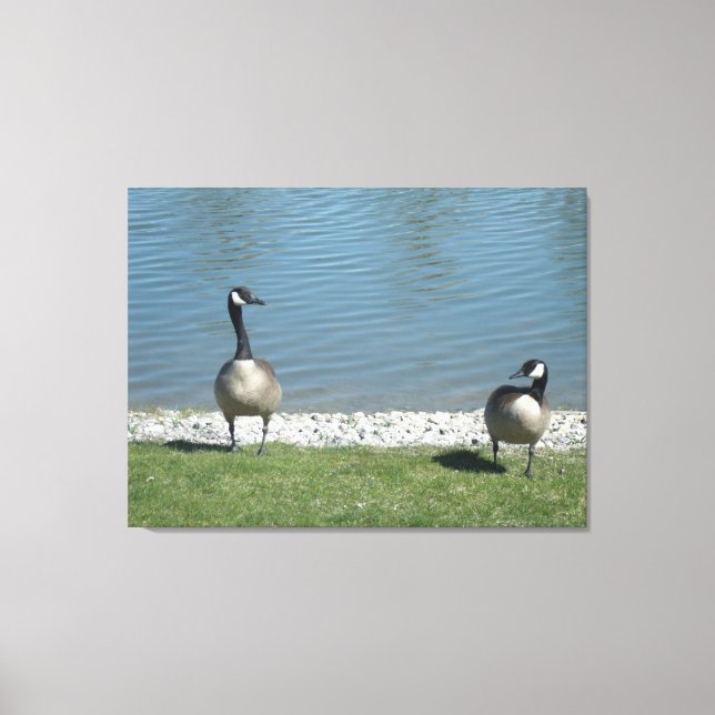 Illinois levande canvastryck (Framsida)