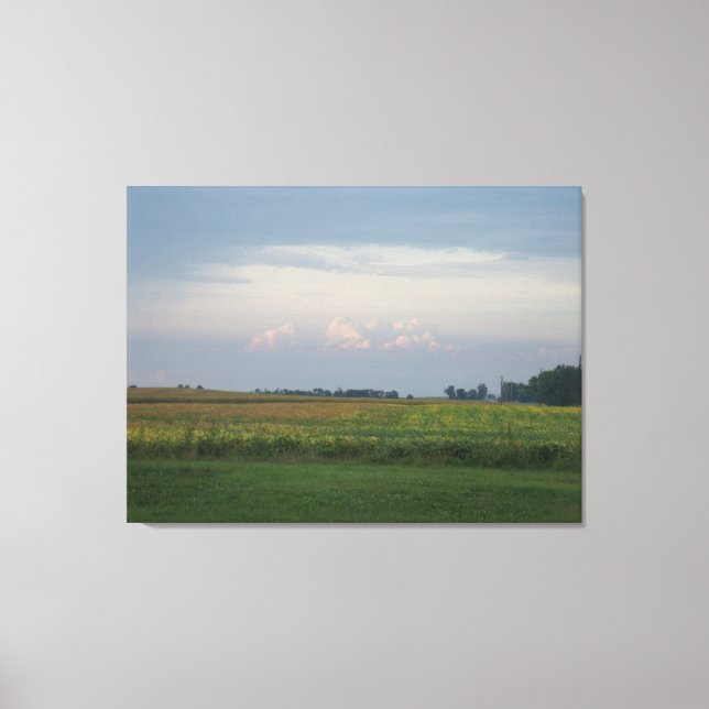 Illinois levande canvastryck (Framsida)