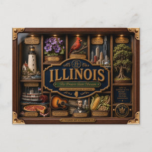 Illinois Shadow Box 3D Figurin Delstat Vykort