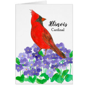 Illinois State Bird Red Cardinal Hälsningskort