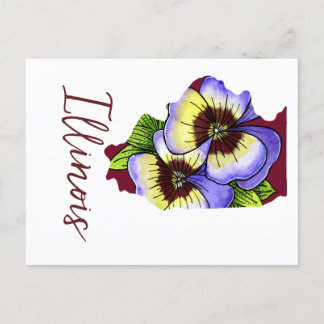 Illinois State Flower Vykort