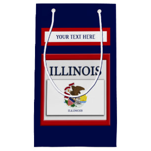 Illinois Statlig flagga Design