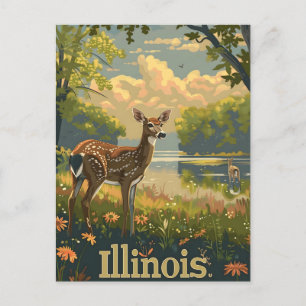 Illinois Vitstjärtad hjort Vykort