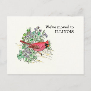 Illinois Vykort