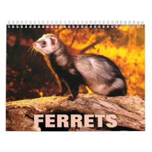 Illrar 2022 Wall Calendar Kalender