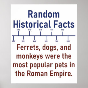 Illrar Hundar och apor - historiefakta Poster