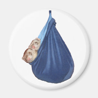 Illrar i ett pipande pagnetmagnet magnet