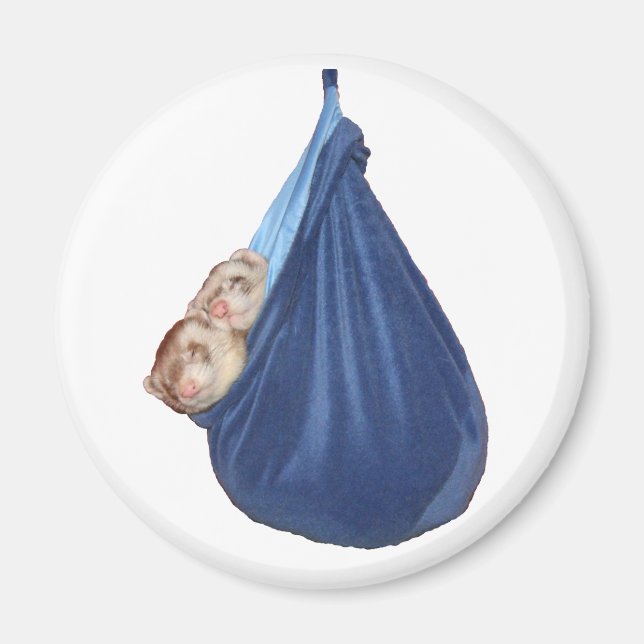 Illrar i ett pipande pagnetmagnet magnet (Framsidan)